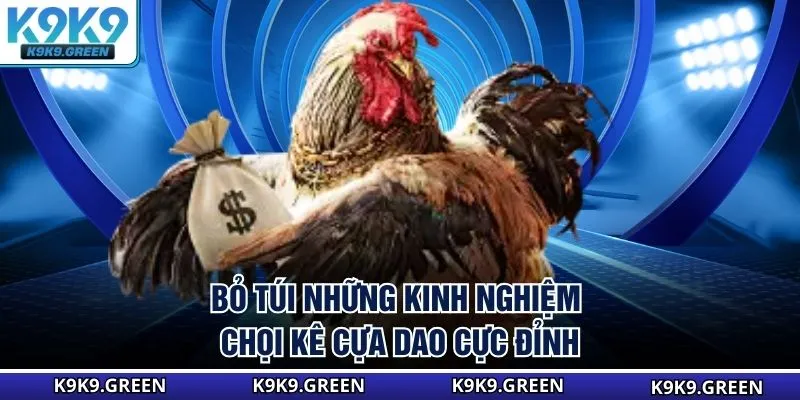 Bỏ túi những kinh nghiệm chọi kê cựa dao cực đỉnh