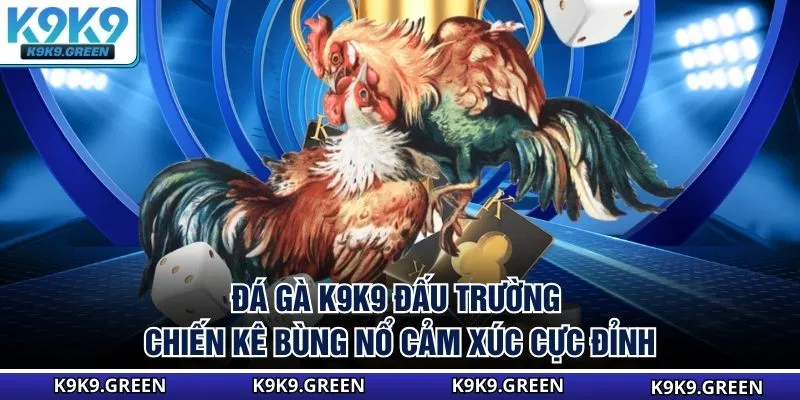 Đá Gà K9K9 - Đấu Trường Chiến Kê Bùng Nổ Cảm Xúc Cực Đỉnh