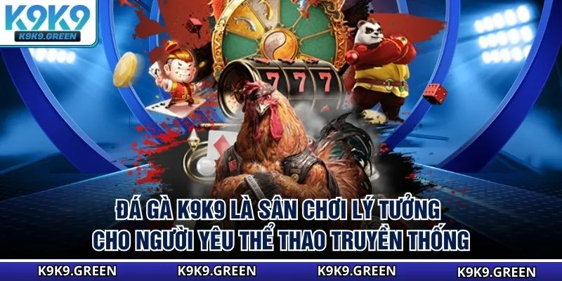 Đá gà K9K9 là sân chơi lý tưởng cho người yêu thể thao truyền thống