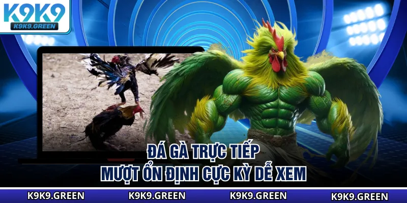Đá gà trực tiếp mượt ổn định cực kỳ dễ xem