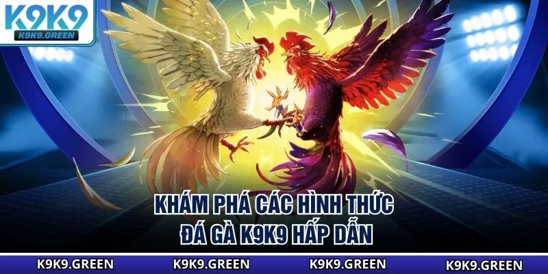 Khám phá các hình thức đá gà K9K9 hấp dẫn