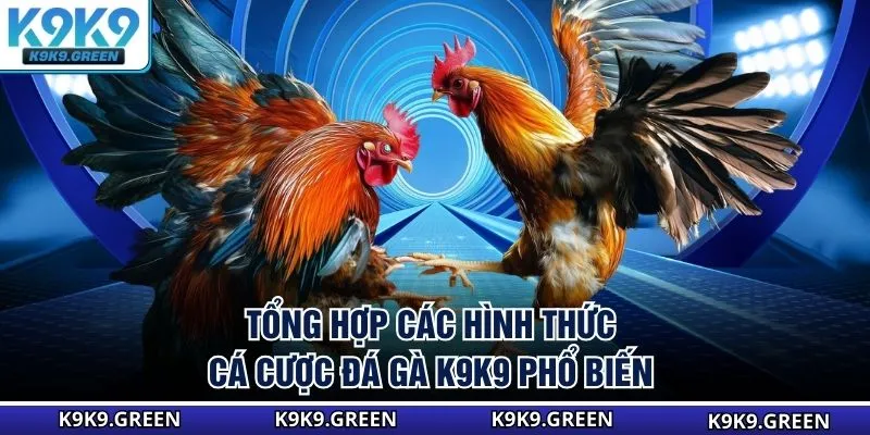 Tổng hợp các hình thức cá cược đá gà K9K9 phổ biến