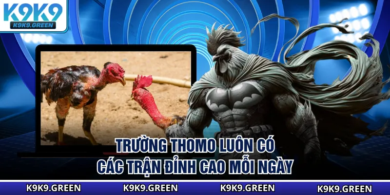 Trường Thomo luôn có các trận đỉnh cao mỗi ngày